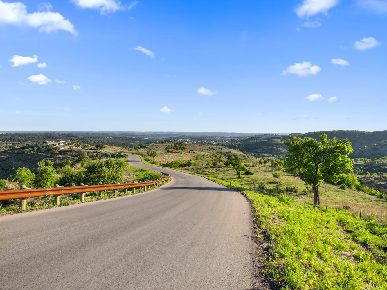 a view of a tree in a yard