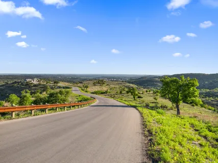 a view of a tree in a yard