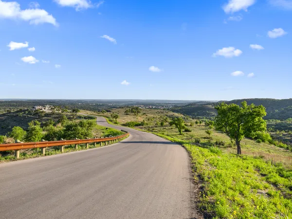 a view of a tree in a yard