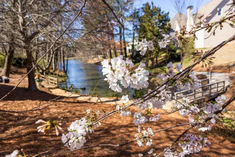 $565,000 | 1839 Wilkenson Crossing North East, Marietta, GA 30066