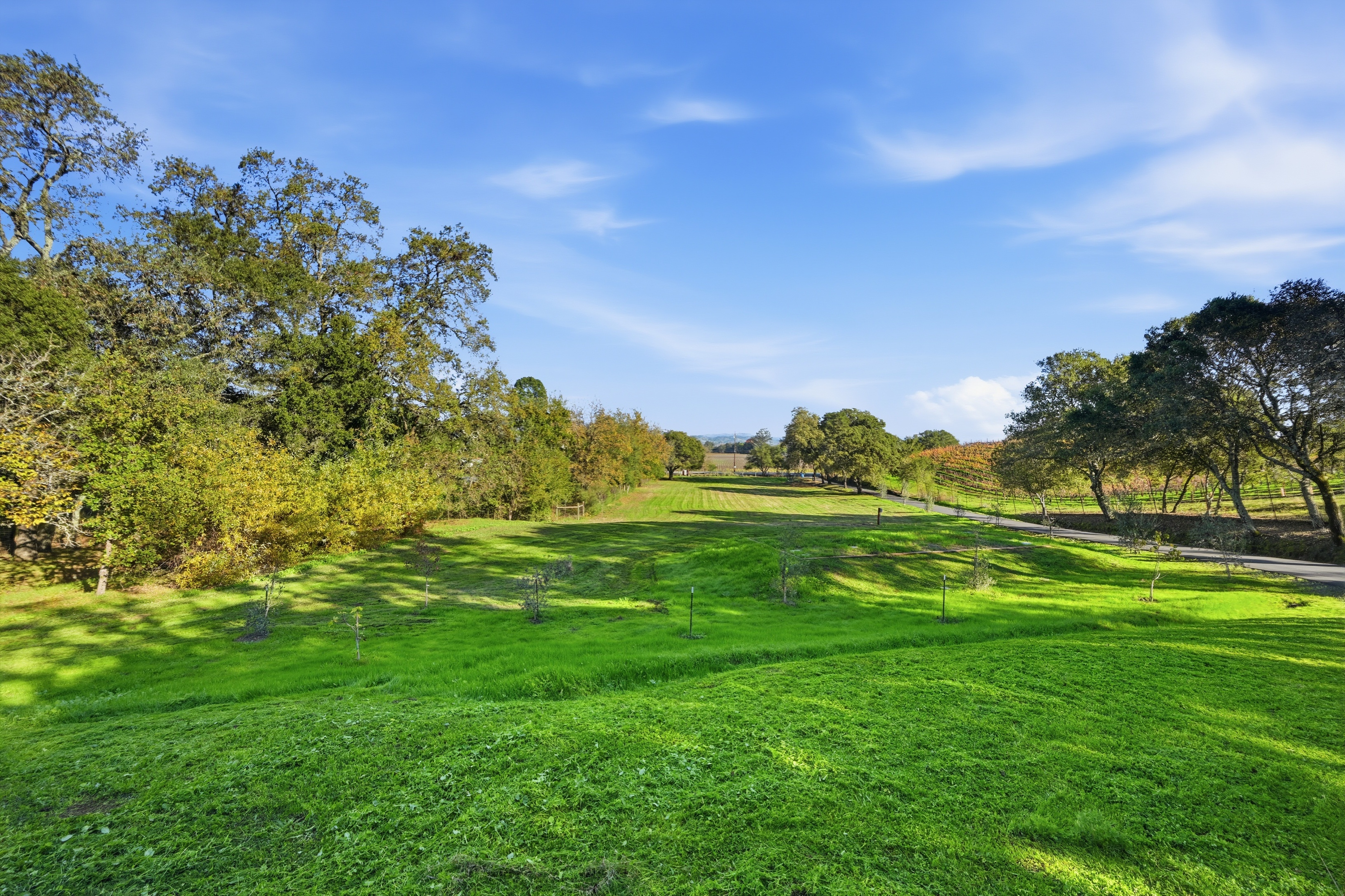 2291 Westside Road Healdsburg, CA 95448 - Photo 9 of 33