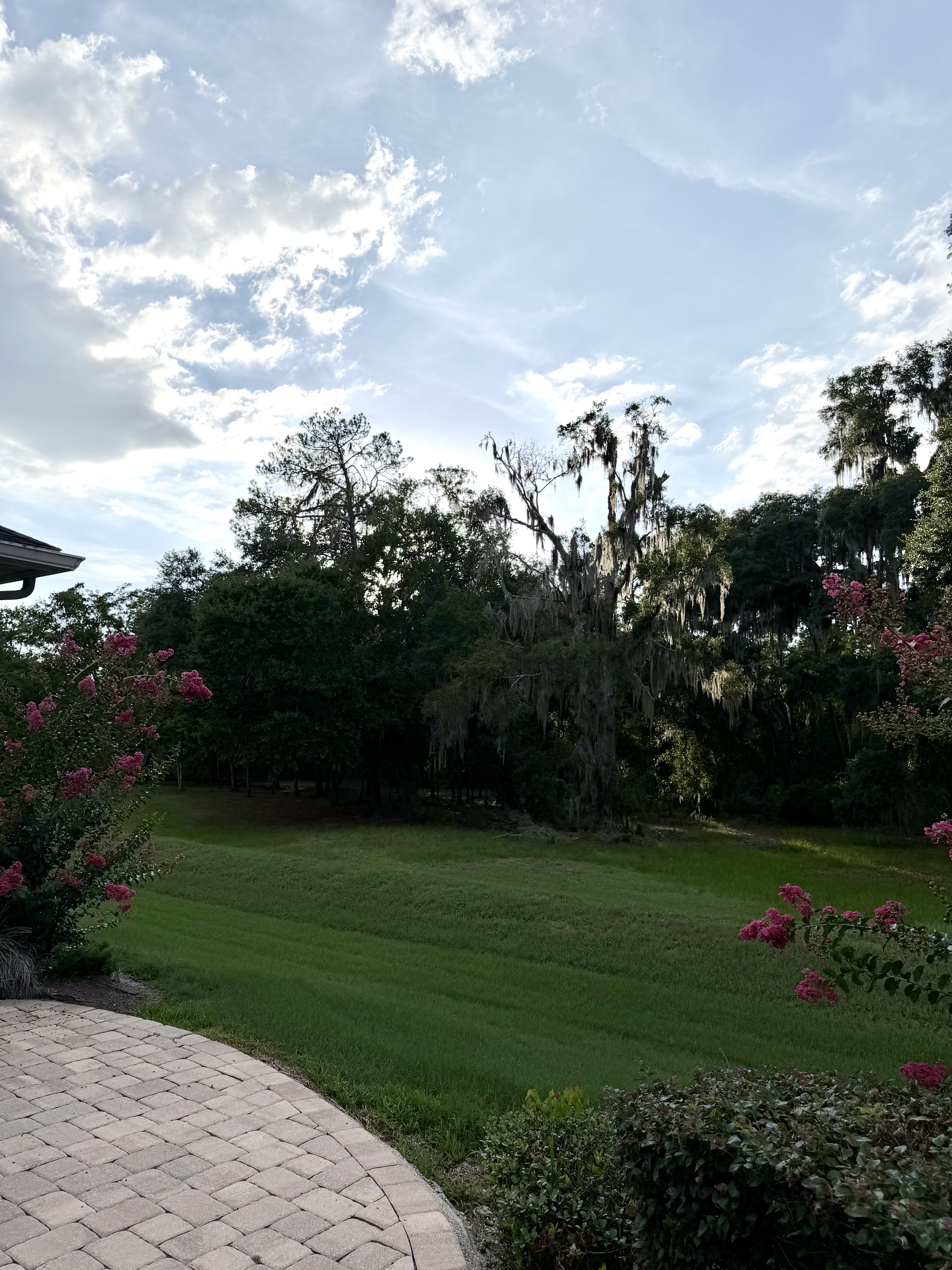 3196 Hawks Ridge Drive Lakeland, FL 33810 - Photo 13 of 14 a view of a garden with a bench