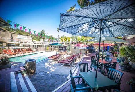 a view of a backyard with plants and a patio