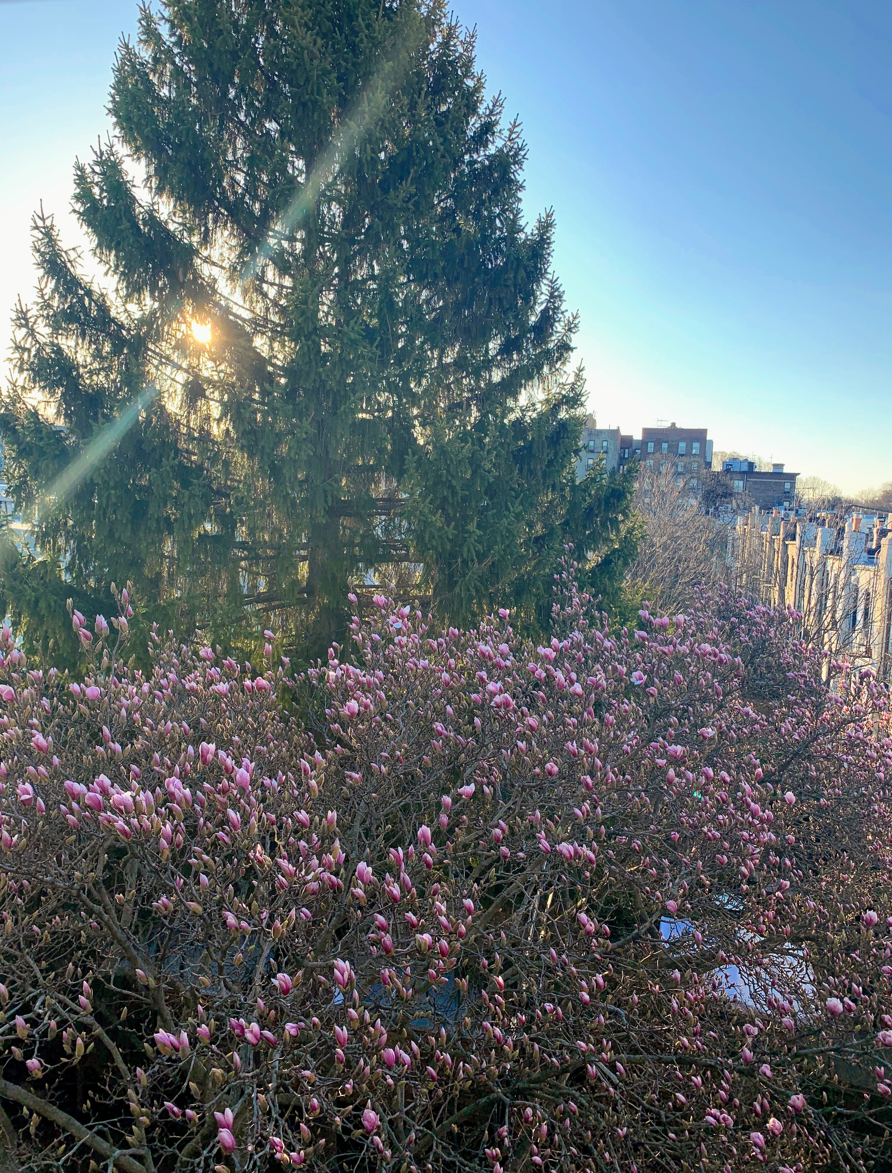 813 8th Avenue, Unit 4R Brooklyn, NY 11215 - Photo 11 of 12