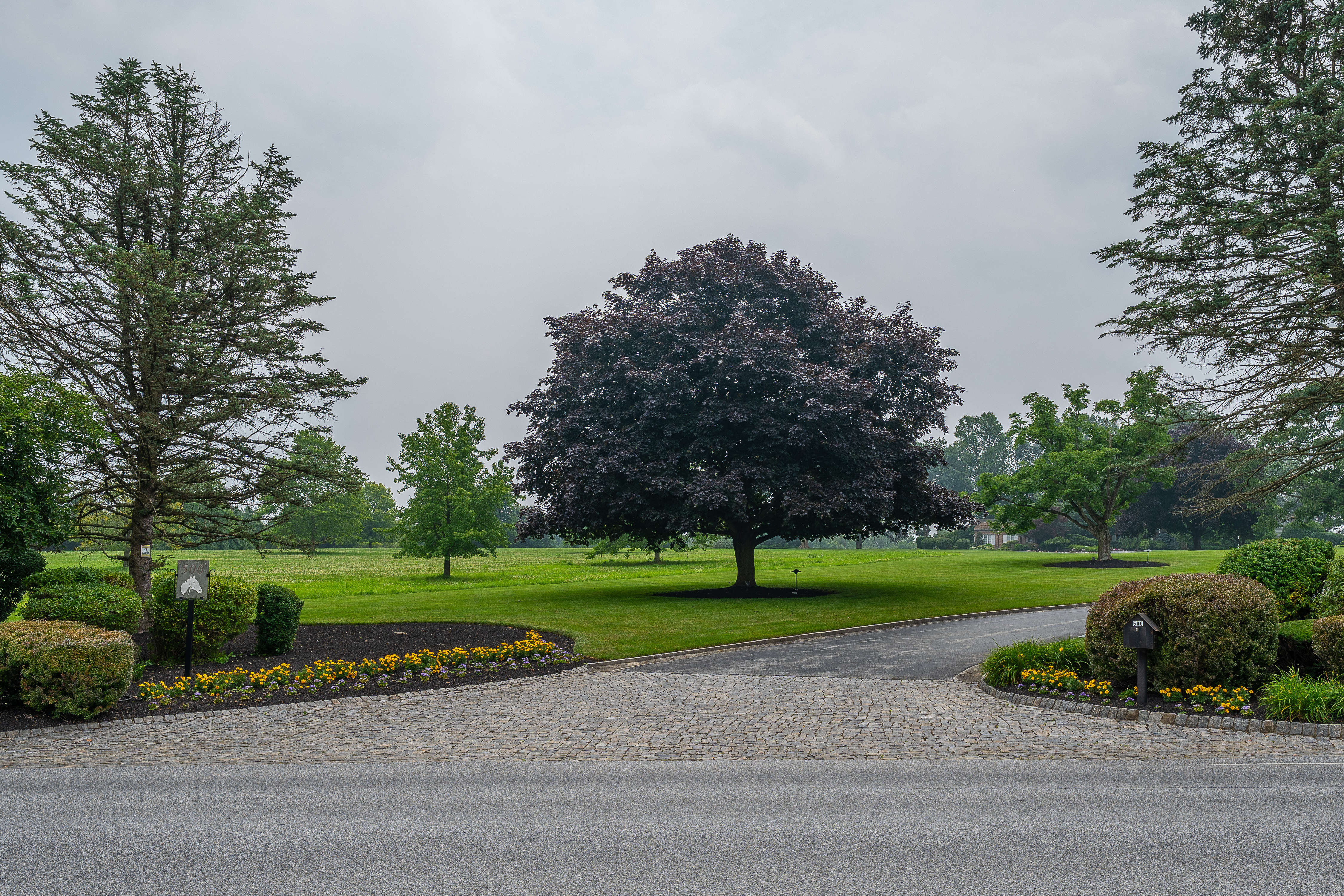 500 East Reeceville Road Downingtown, PA 19335 - Photo 7 of 135