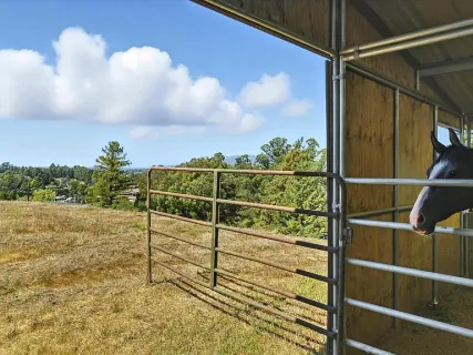 $2,795,000 | 411 Highland Avenue, Penngrove, CA 94951