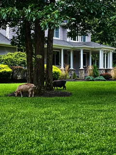 $1,699,999 | Address Upon Request, Hammonton, NJ 08037