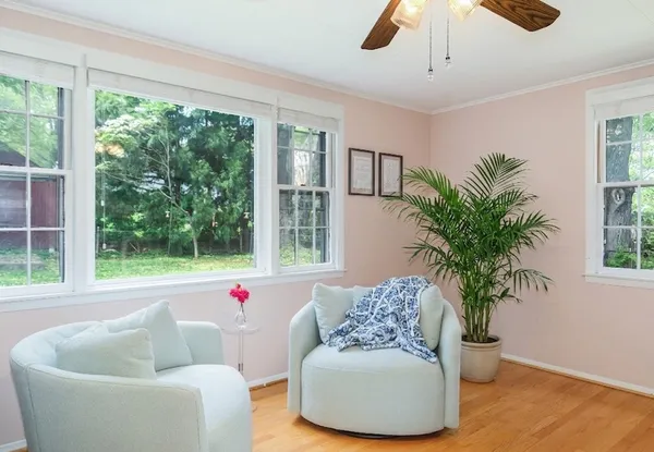a living room with furniture and a potted plant