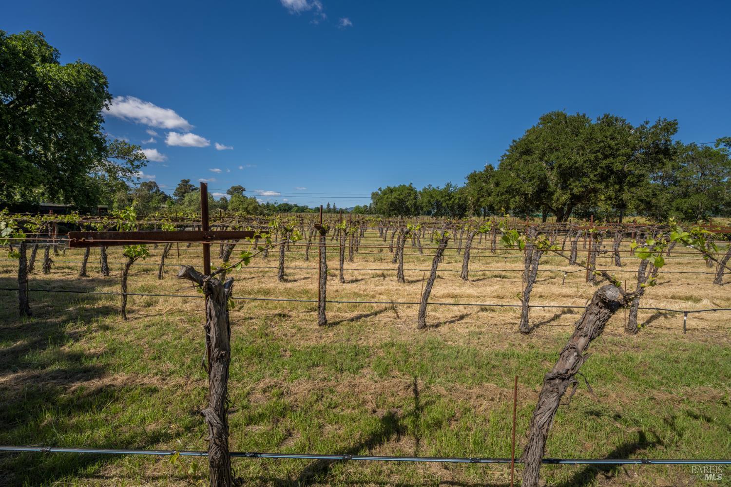 18320-18330 Carriger Road Sonoma, CA 95476 - Photo 16 of 46