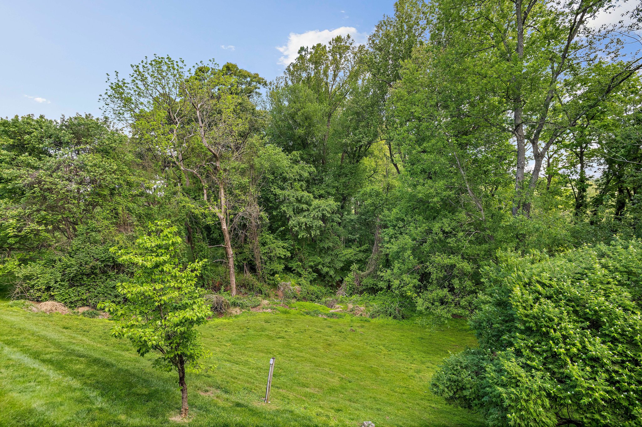 9830 Faust Drive Vienna, VA 22182 - Photo 64 of 73