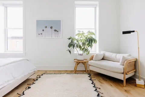 a living room with furniture and a potted plant