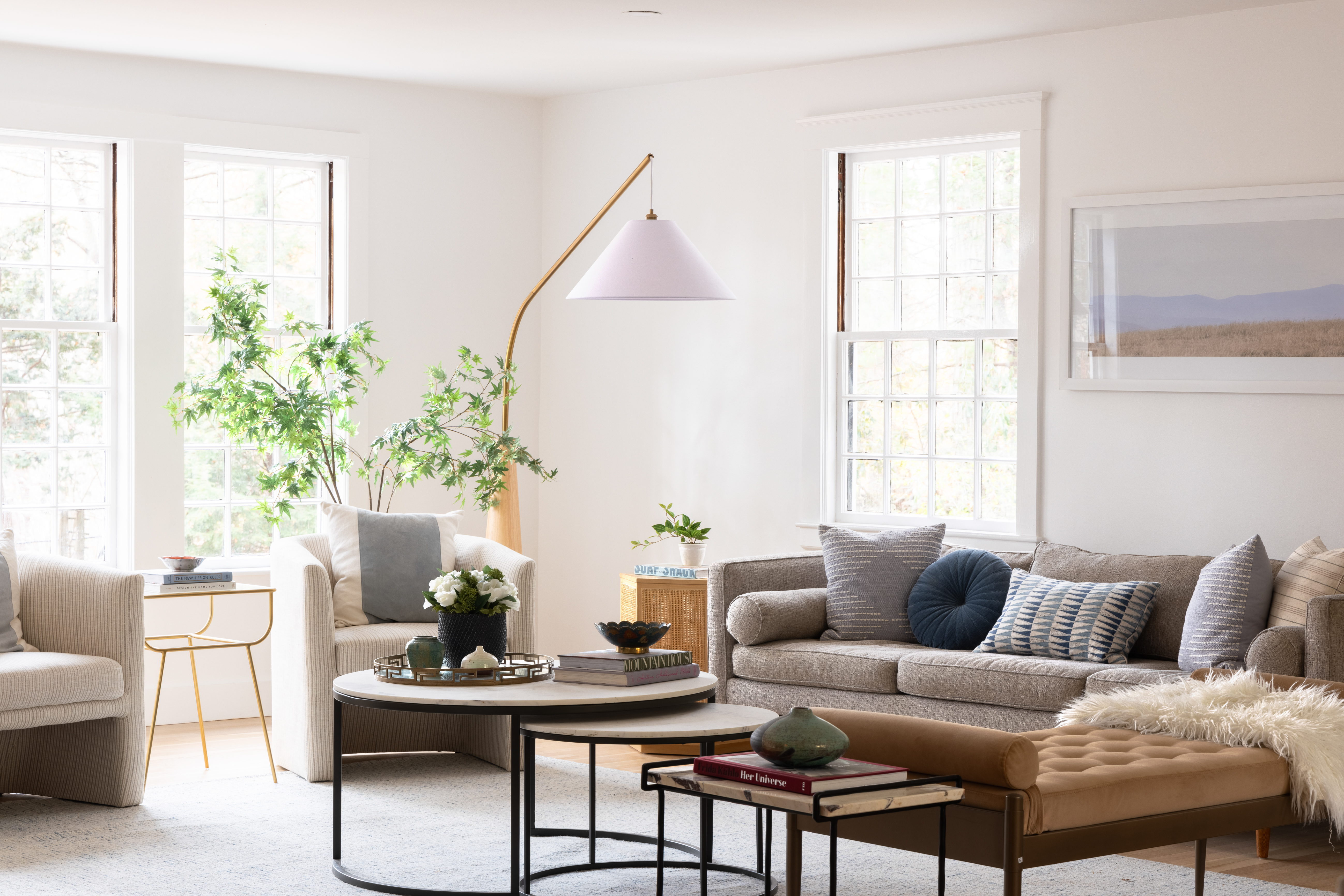 111 Beverly Road Brookline, MA 02467 - Photo 5 of 27 a living room with furniture and a potted plant