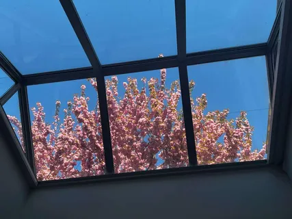 a view of room with window