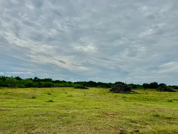 a backyard of a house with trees and outdoor space