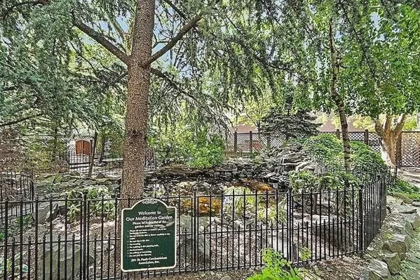 a view of a park with large trees