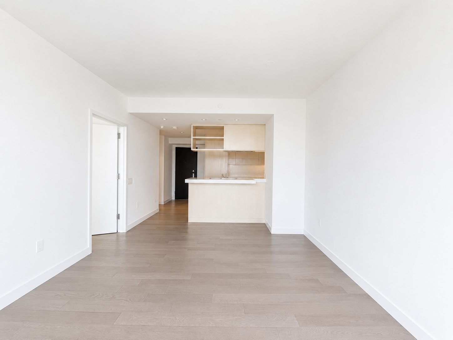 252 South Street, Unit 17F Manhattan, NY 10002 - Photo 4 of 30