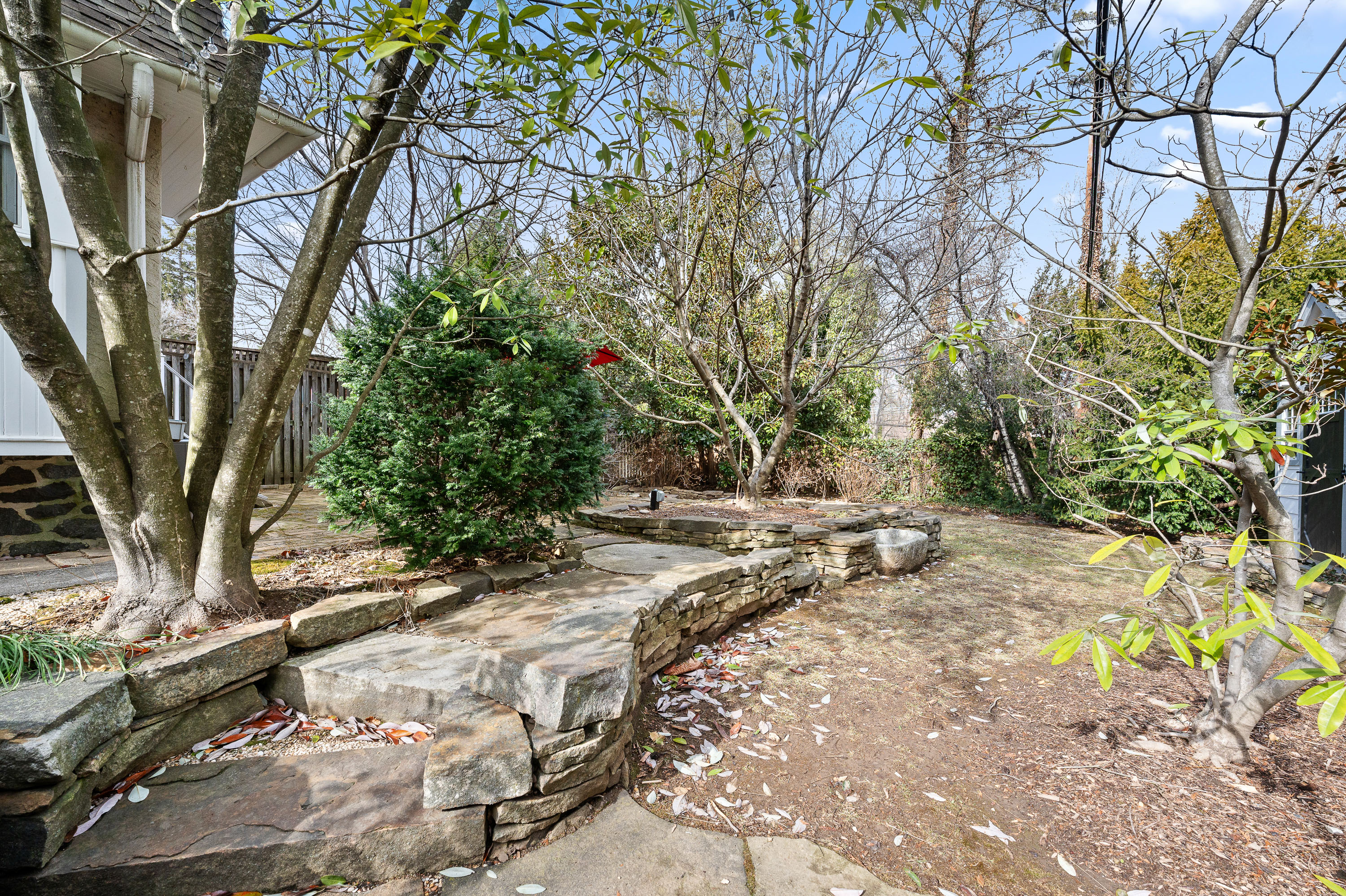 201 West Avenue Wayne, PA 19087 - Photo 22 of 26 a view of backyard with a table and chairs under a large tree