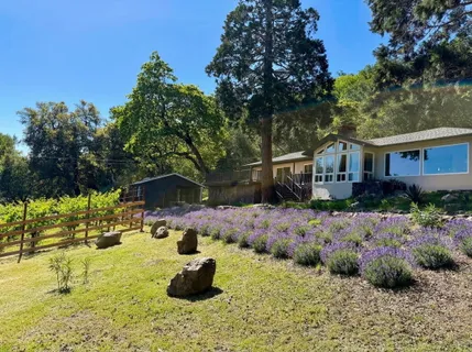 a view of a backyard with plants and patio