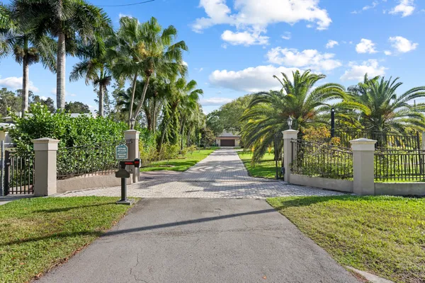 a view of a backyard with palm trees