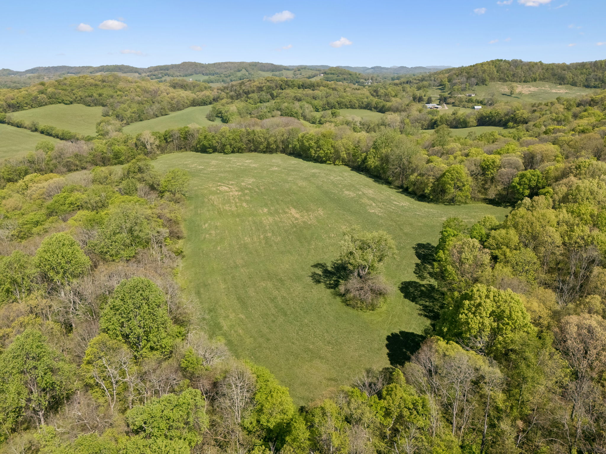 Undisclosed Address College Grove, TN 37046 - Photo 21 of 24 a view of lake and mountain