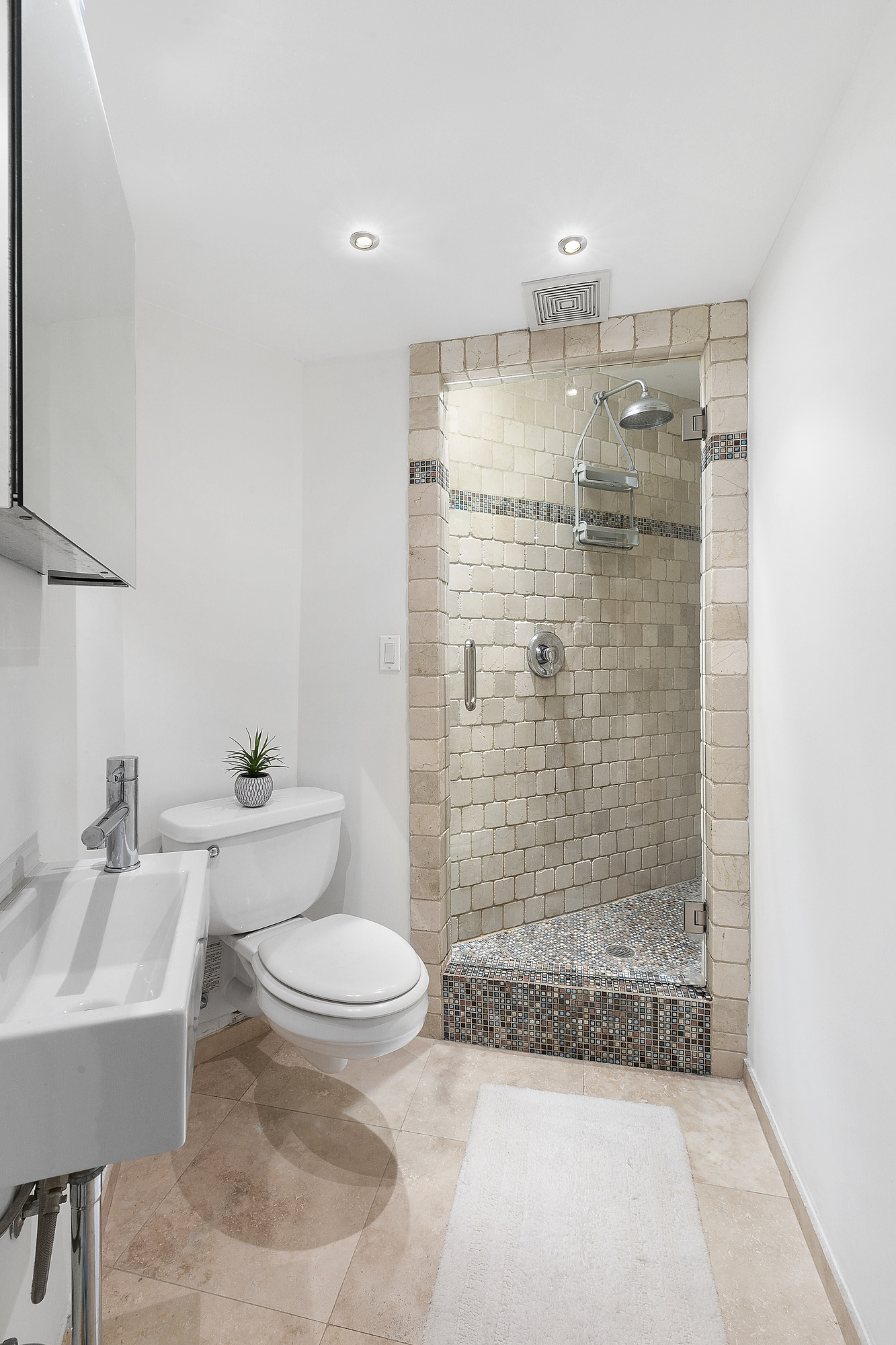 395 Broadway, Unit 3B Manhattan, NY 10013 - Photo 9 of 11