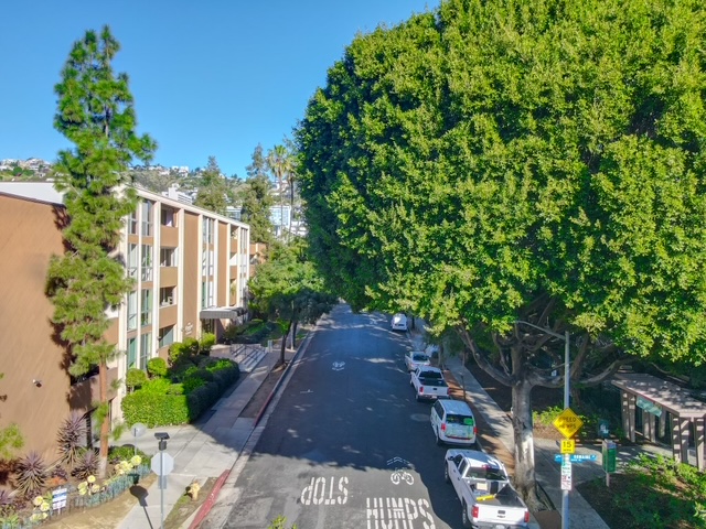 1015 North Kings Road, Unit 301 West Hollywood, CA 90069 - Photo 20 of 22