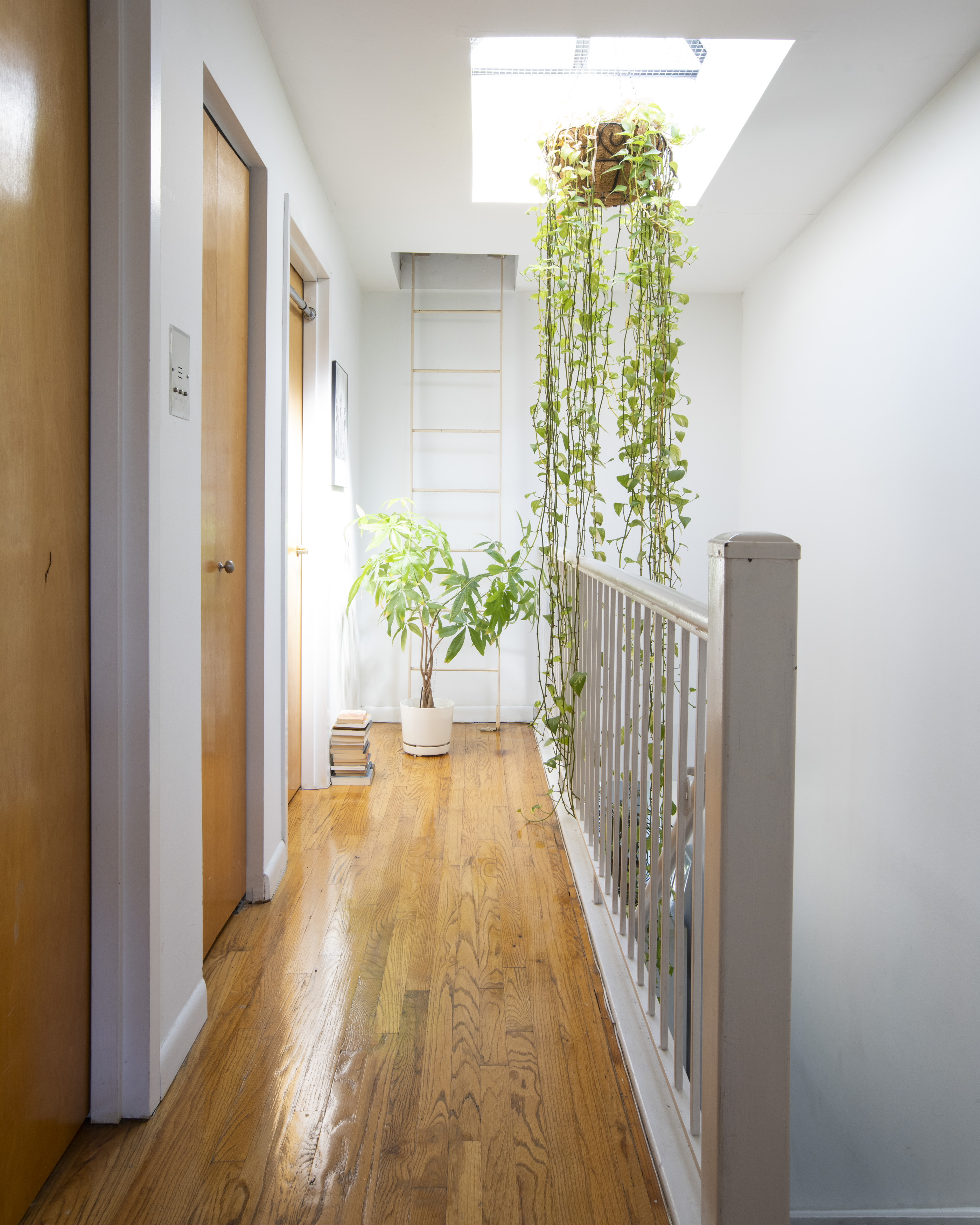 404 Classon Avenue, Unit 2 Brooklyn, NY 11238 - Photo 9 of 14 a view of entryway with wooden floor