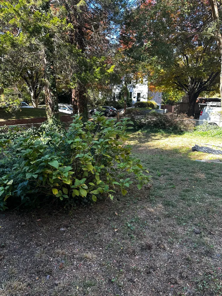 $1,250,000 | 4214 37th Street Northwest, Washington, DC 20008