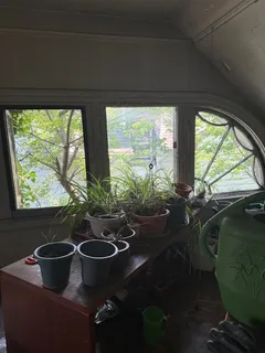 a gym room with lots of gym equipment