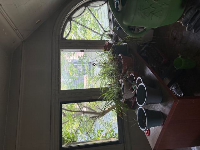 202 Marlborough Road Brooklyn, NY 11226 - Photo 11 of 14 a room with gym equipment and a potted plant