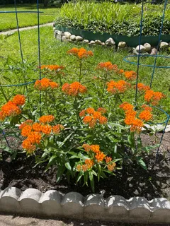 $200,000 | 8 L Southway, Greenbelt, MD 20770