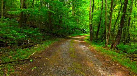 $55,000 | Nocona Trail, Ellijay, GA 30536