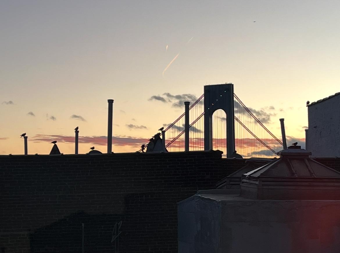 9040 Fort Hamilton Parkway, Unit 4G Brooklyn, NY 11209 - Photo 11 of 12 a view of balcony and patio