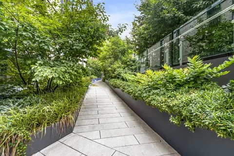 a view of a garden with pathway