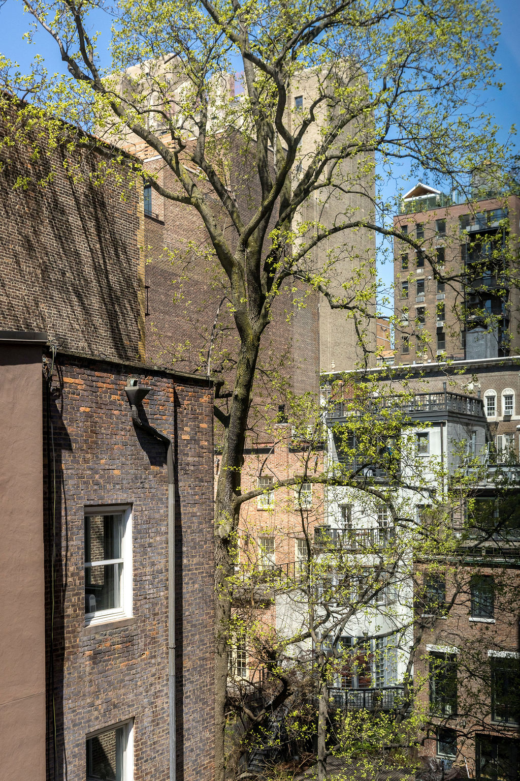 101 West 12th Street, Unit 5V Manhattan, NY 10011 - Photo 9 of 26 a view of a brick house with a large tree