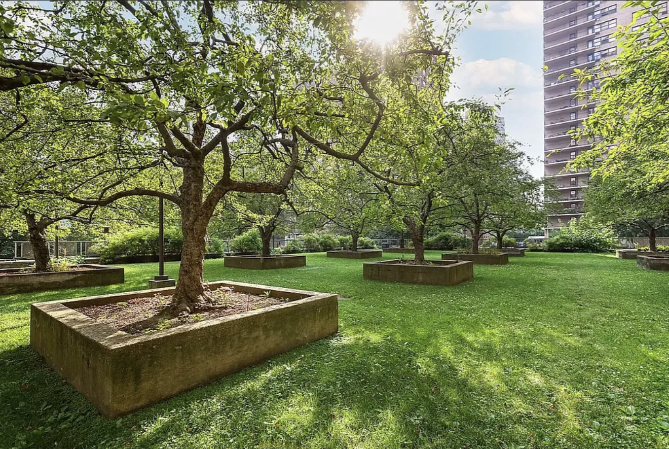 185 West End Avenue, Unit 17B Manhattan, NY 10023 - Photo 7 of 9 a view of a garden with trees