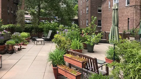 a view of a chairs and tables in the back yard of the house