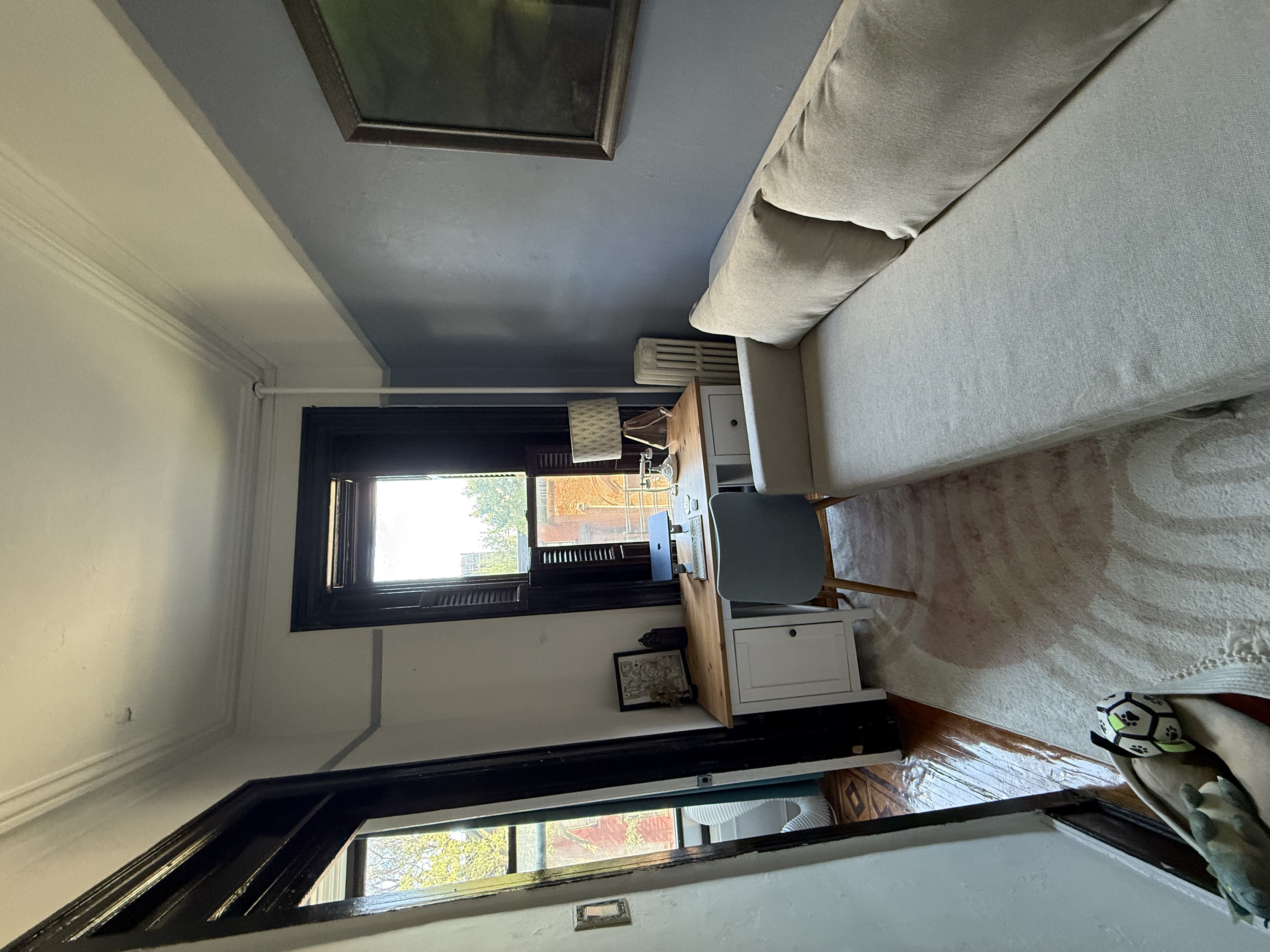 230 17th Street, Unit 2 Brooklyn, NY 11215 - Photo 15 of 16 a living room with furniture and a mirror