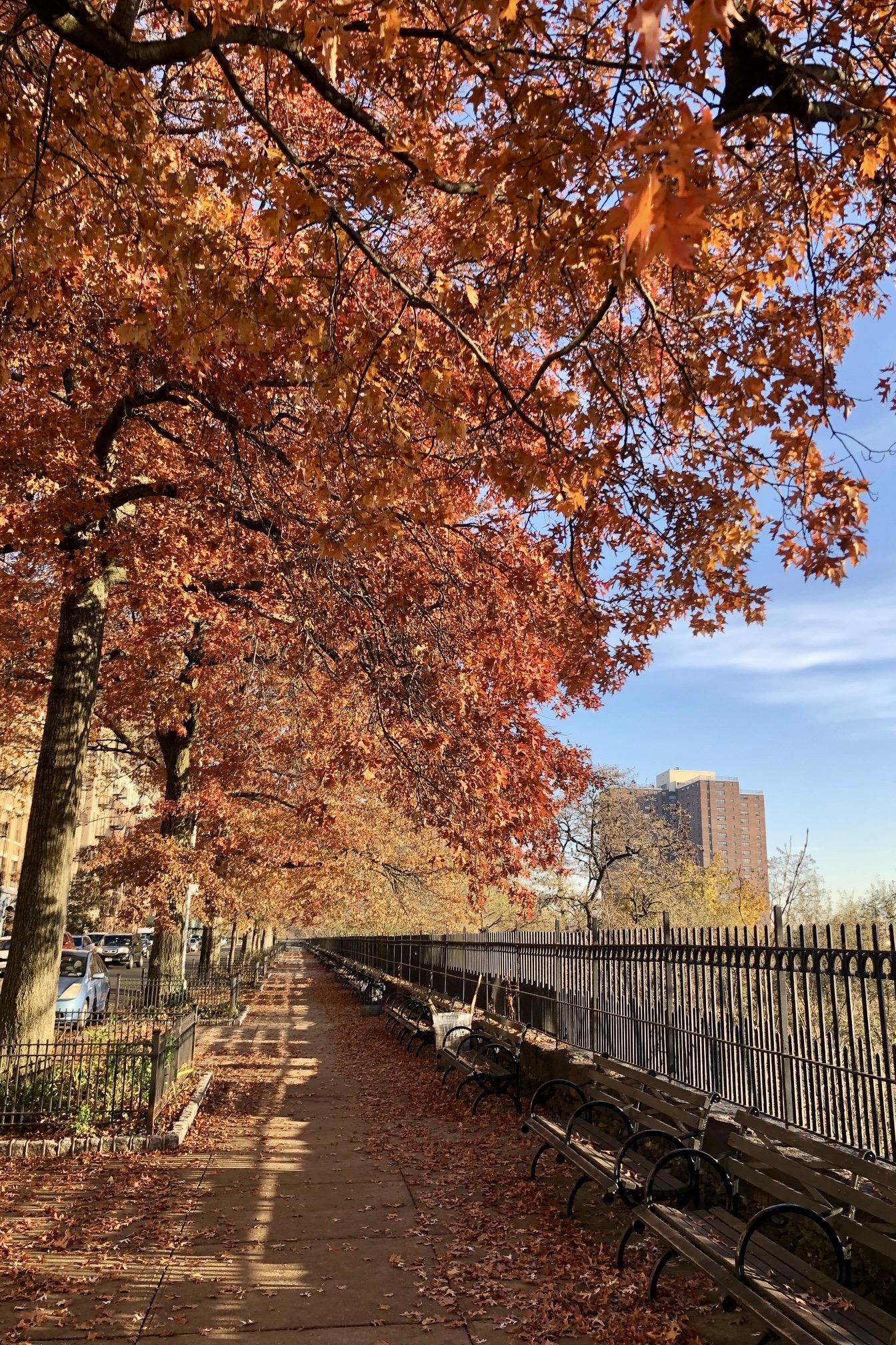 409 Edgecombe Avenue, Unit 2B Manhattan, NY 10032 - Photo 23 of 27