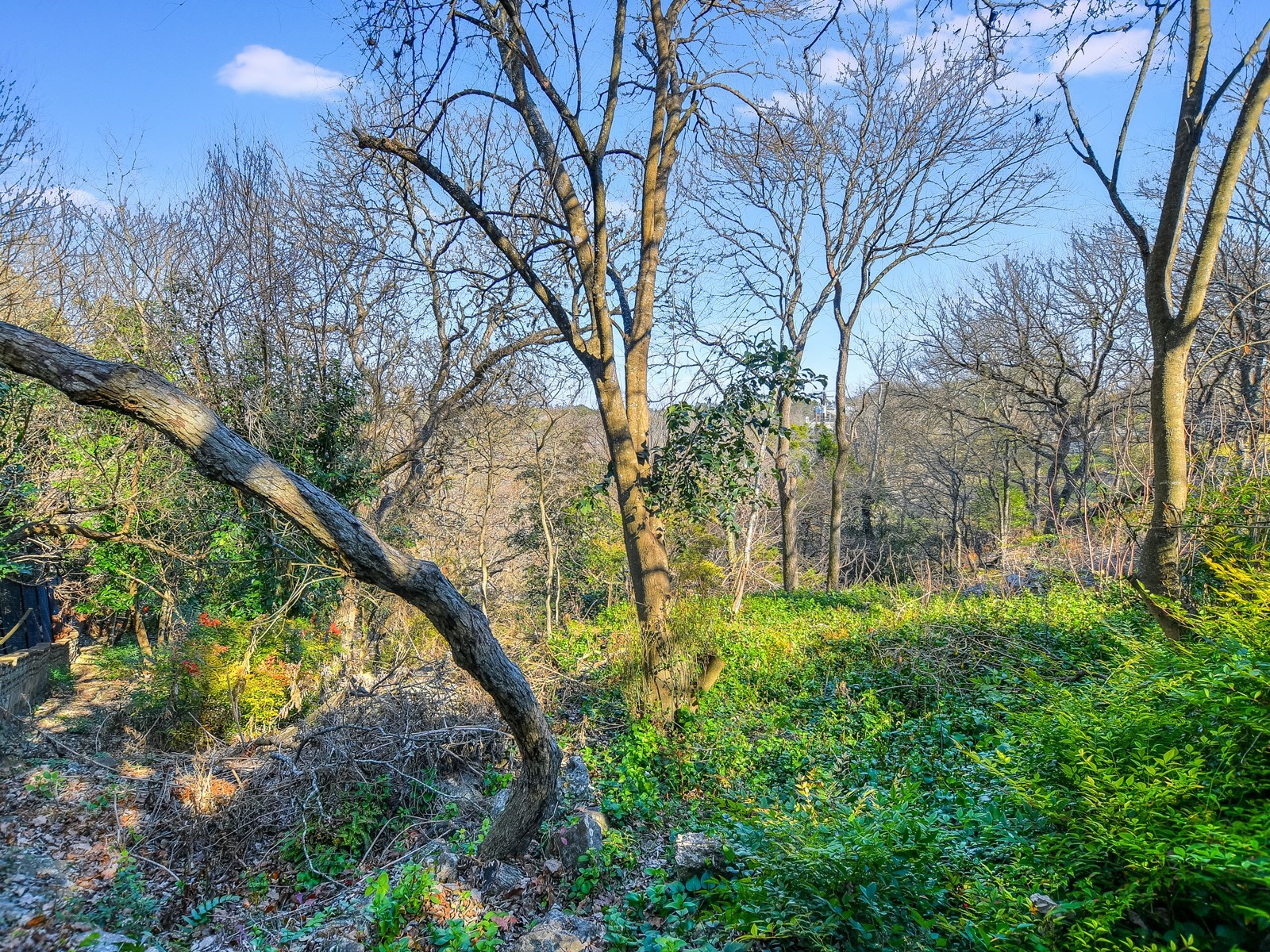 4622 Lake View Austin, TX 78731 - Photo 36 of 52