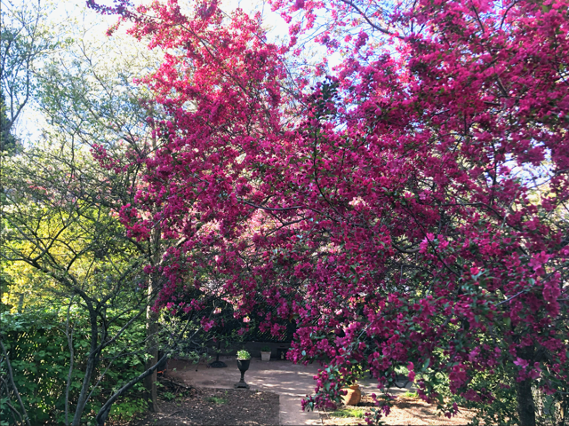 189 Freeman Street Brooklyn, NY 11222 - Photo 5 of 13