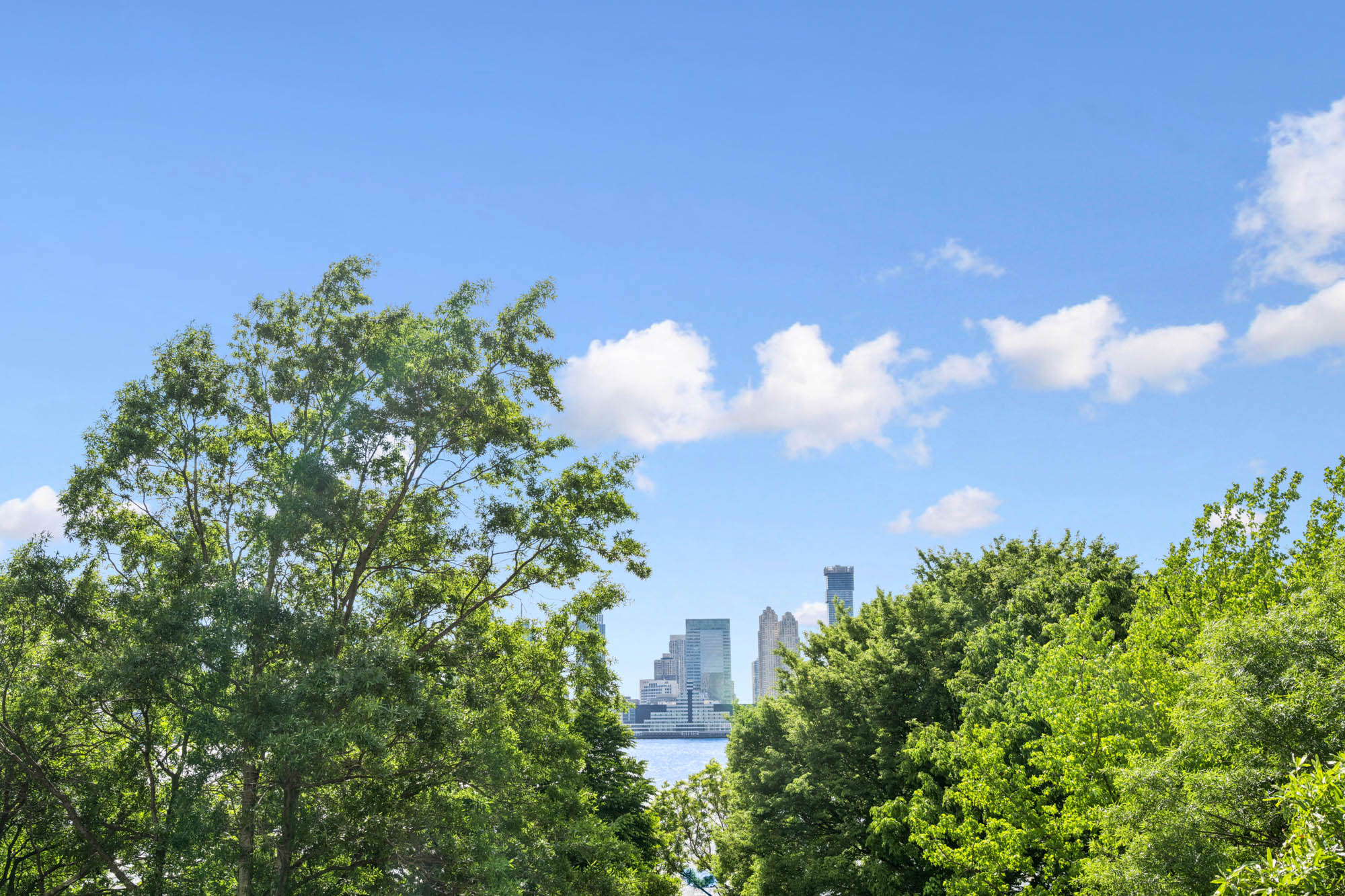20 River Terrace, Unit 5H Manhattan, NY 10282 - Photo 8 of 15