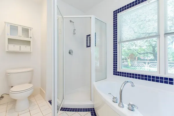 a bathroom with a bathtub and a toilet