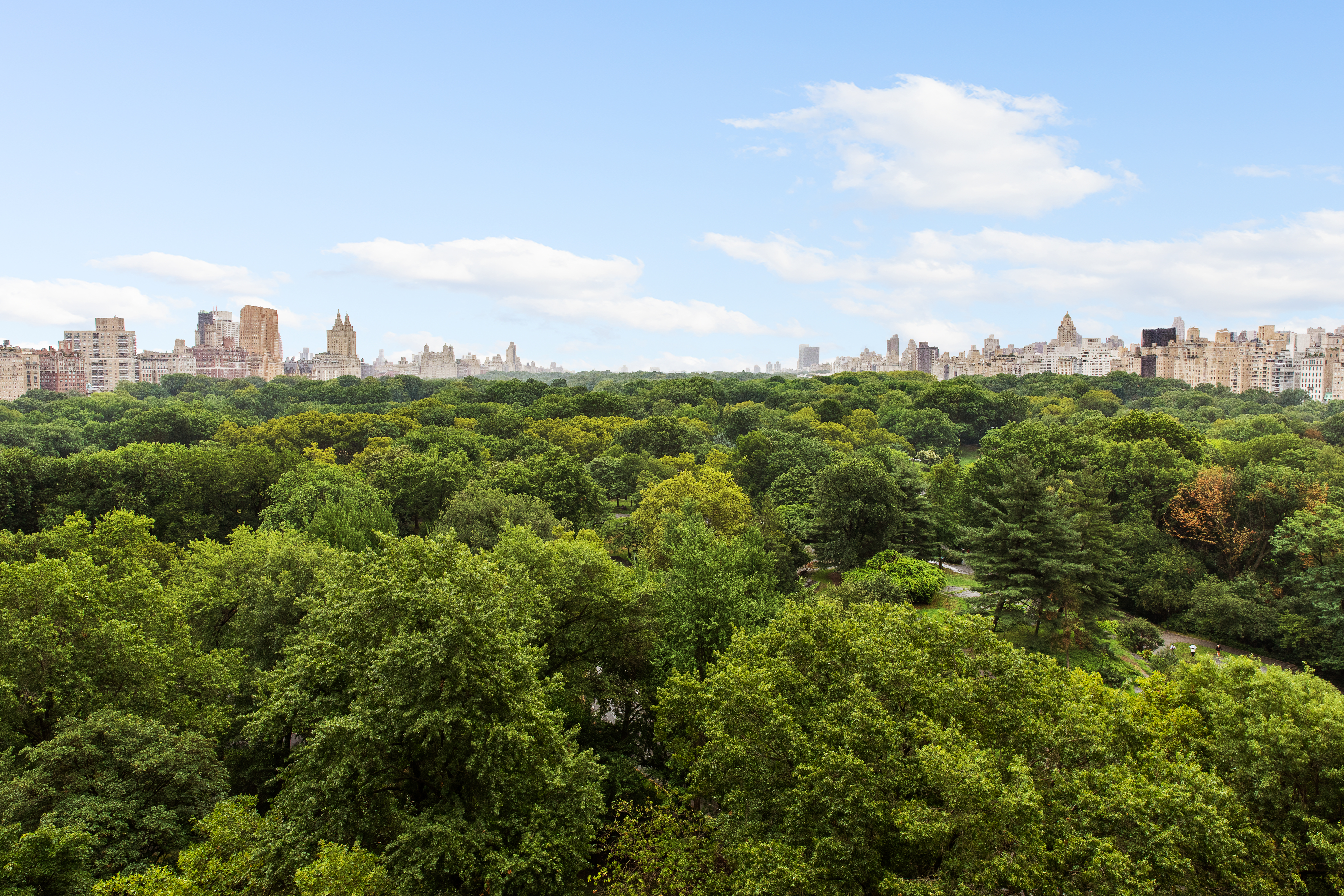 128 Central Park South, Unit 13A Manhattan, NY 10019 - Photo 1 of 16