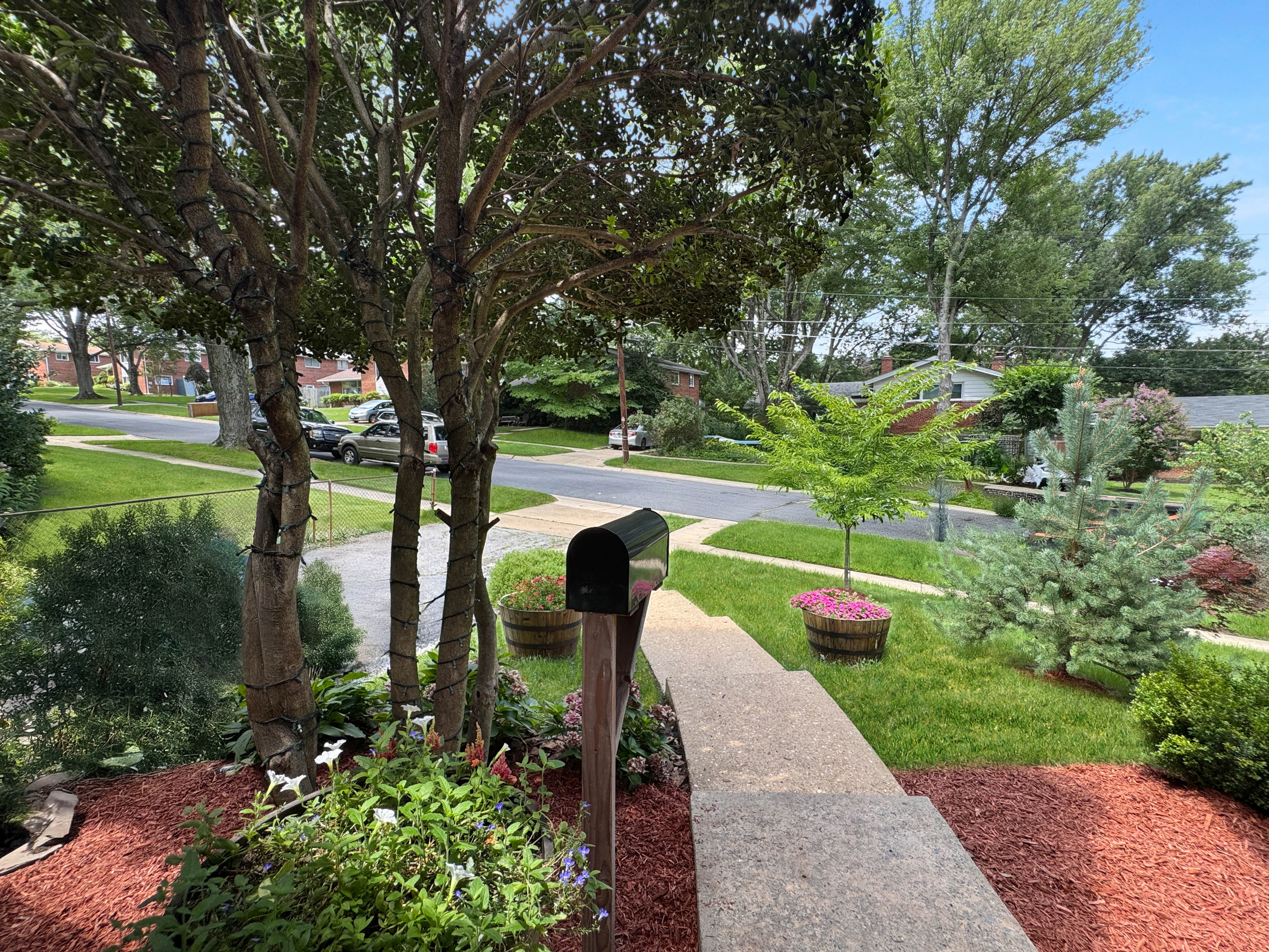 2408 Lillian Drive Silver Spring, MD 20902 - Photo 4 of 40 a view of yard with green space and plants