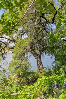 $52,000,000 | Tbd, Spicewood, TX 78669