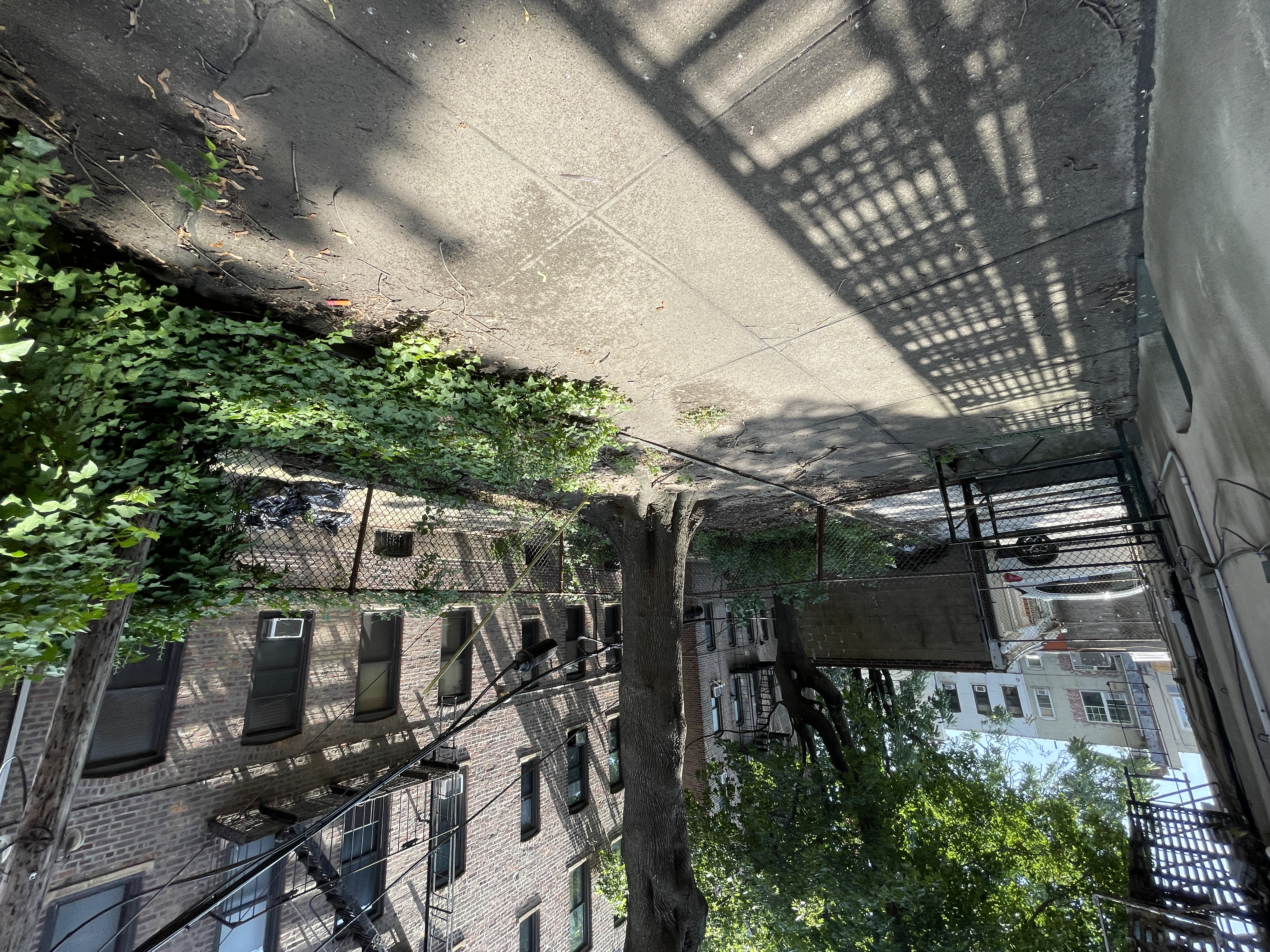 31-74 33rd Street Queens, NY 11106 - Photo 15 of 16 a view of a patio with table and chairs and potted plants