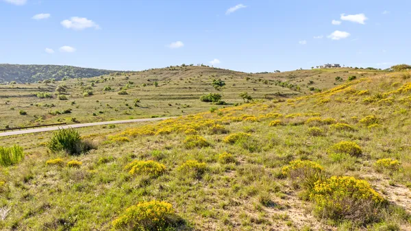 a view of a town with mountains in the background