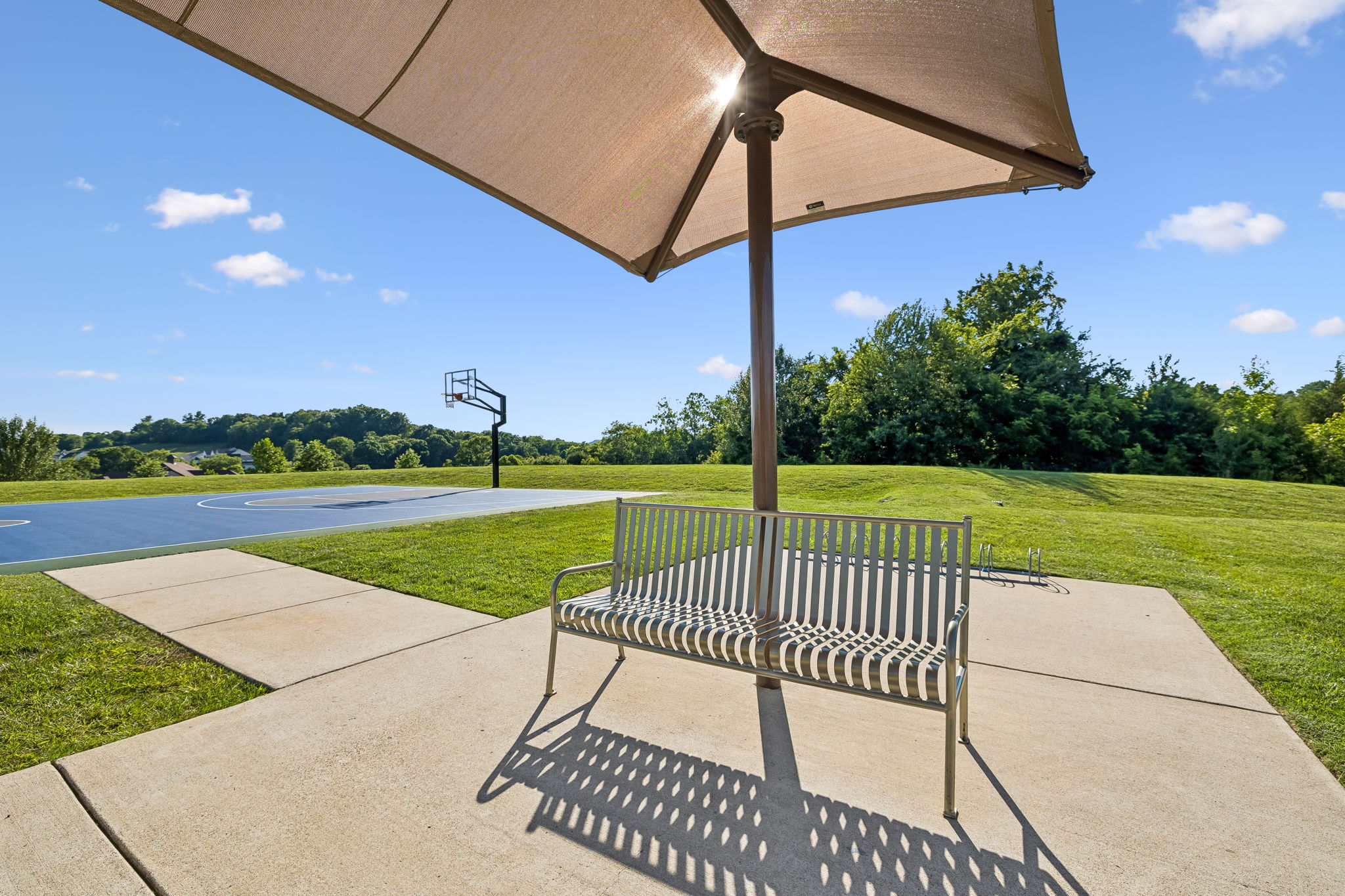 6732 Falls Ridge Lane College Grove, TN 37046 - Photo 84 of 87