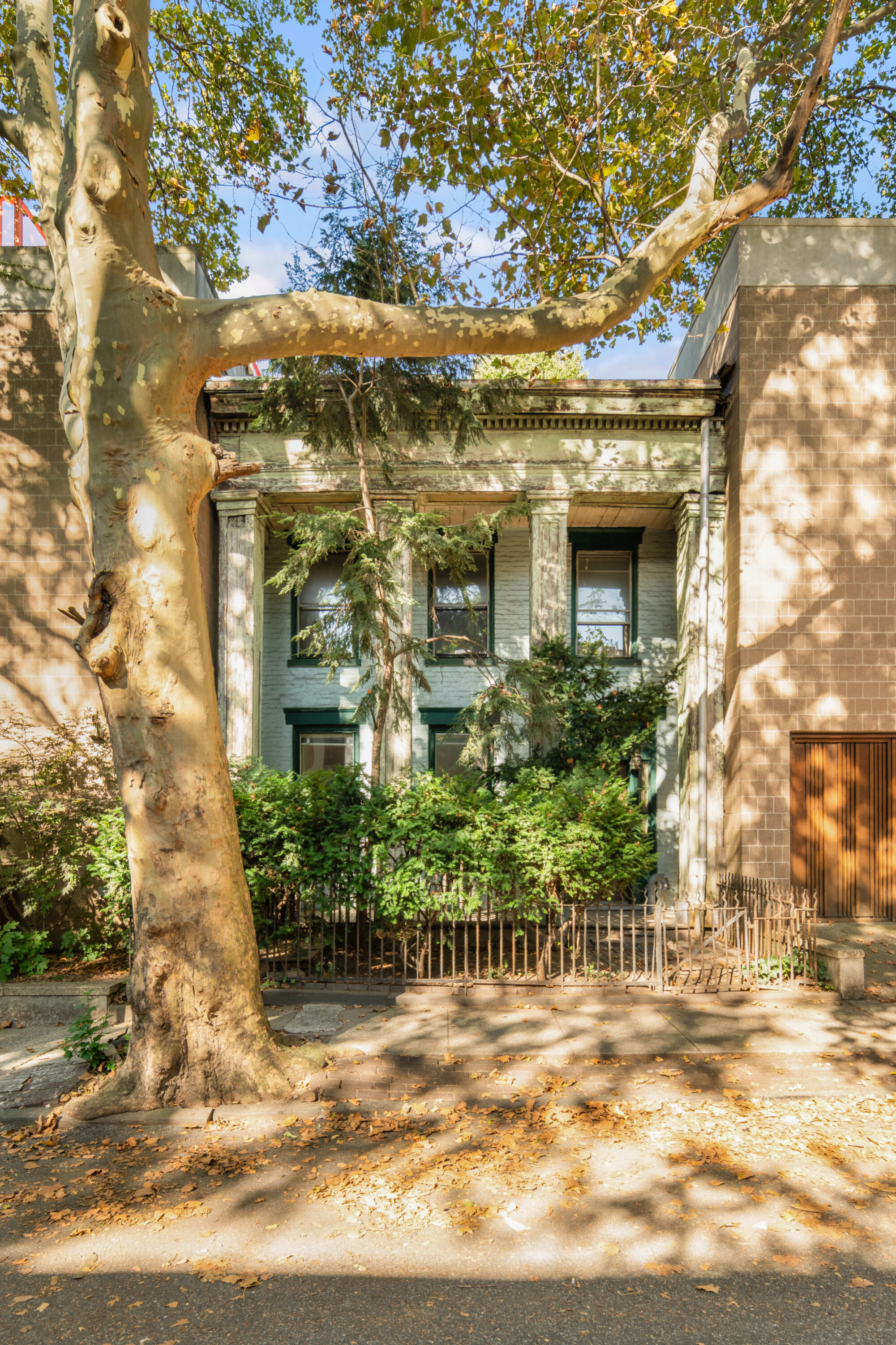 46 Willow Place Brooklyn, NY 11201 - Photo 30 of 31 a view of a brick house with a large tree